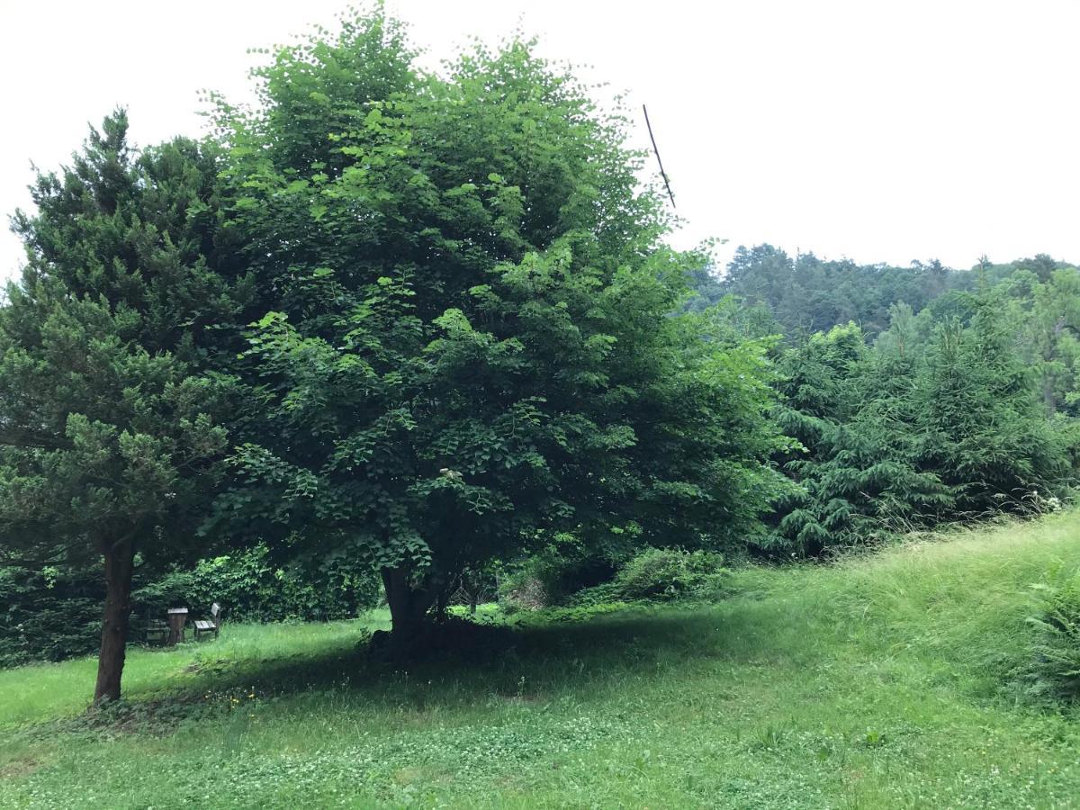 Apartmany Janska Bagian luar foto
